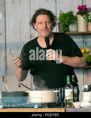 Küchenchef Marco Pierre White kocht ein Risotto auf der THOMSON NEFF große Küche Stadium während der großen Feastival bei Alex James' Farm in Kingham, Oxfordshire. Stockfoto