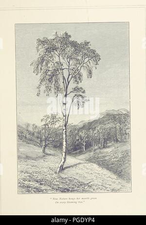 Bild von Seite 183 "Caledonia beschrieben von Scott, Verbrennungen und Ramsay. [Auswahl von ihrer poetischen Werke.] Mit Illustrationen von John Macwhirter, etc'. Stockfoto