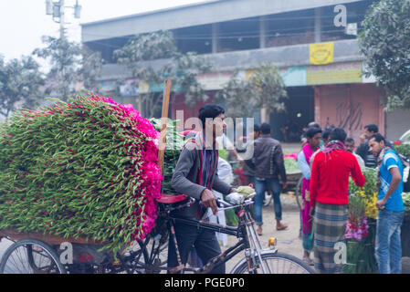 Grosshandel Blumen Markt, godkhali, Jhikorgacha, jessore 2016 Stockfoto