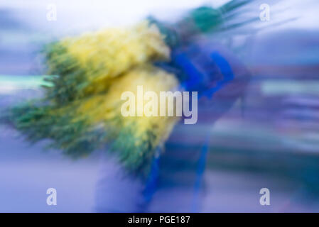 Grosshandel Blumen Markt, godkhali, Jhikorgacha, jessore 2016 Stockfoto