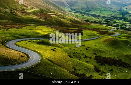 Schaf mit Mam Tor, Peak District National Park, mit einem Blick entlang der gewundenen Straße zwischen den grünen Hügeln, die unten zu Hope Valley, in Derbyshire, England. Stockfoto