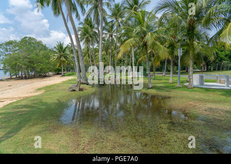 Singapur - 8. Juli 2018: Überschwemmungen in Pasir Ris Park am Strand Stockfoto