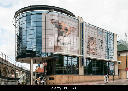 Battersea Hunde & Katzen Home auf Battersea Park Road im Süden Londons. Stockfoto