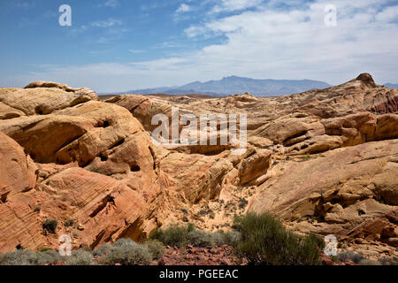 NV 00006-00 ... NEVADA - Blick über die Erodierten Aztec Sandstein von Rainbow Vista im Valley of Fire State Park. Stockfoto