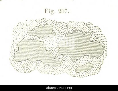 Bild von Seite 580 "[Die geologische Beobachter.]'. Stockfoto