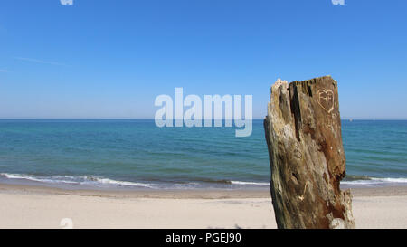 Toten Baumstumpf am Strand in Ostsee Küste Stockfoto