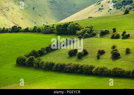 Sommer am Nachmittag des Teufels Damm auf der South Downs in West Sussex, England. Stockfoto