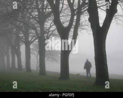 Dichter Nebel steigt auf München und den Fluss Dee, Dumfries und Galloway. Ein Mann seinen Hund Dee entfernt, neben dem Fluss Dee. Es ist sehr ruhig und die Bäume sind eingehüllt in Nebel Stockfoto