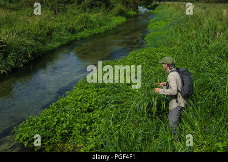 Ein Fliegenfischer Stengel einen Fisch auf den berühmten Fluss Itchen in Hampshire Stockfoto