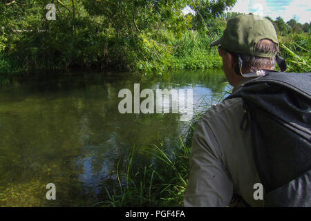 Ein Fliegenfischer Stengel einen Fisch auf den berühmten Fluss Itchen in Hampshire Stockfoto