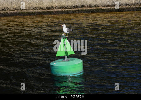 Möwen barsch und fliegen über die Signalisierung Bojen im Loch Lomond und Trassochs Nationalpark Stockfoto