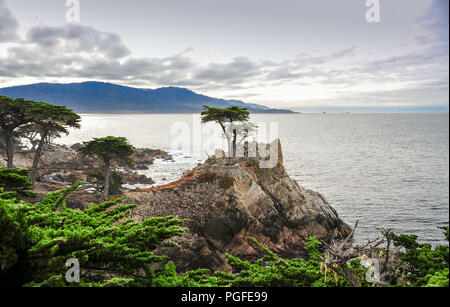 Pebble Beach, Kalifornien: ein Lone Cypress Tree steht an der kalifornischen Küste, 17 Kilometer Fahrt in der Nähe von Karmel. Felsigen Landzunge, Ozean Hintergrund Stockfoto