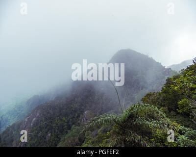Dunkle Moody, Berg eingehüllt in low-level Regenwolken. Tropischer Regenwald vom Berg Mat Cincang (Gunung Mat Chinchang), bei der Sie die Insel Langkawi gesehen, Stockfoto
