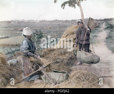 [C. 1890 Japan - Japanische Landwirte Dreschen von Reis] - eine Frau dreschen ist Reis Stengel mit einem Senbakoki (Dreschen), während ein Mann mit Stroh Beutel an einer Stange ausgeglichen. In der Rückseite trocknen Reis pflanzen gesehen werden kann, war es üblich, zu frisch geschnittener Reis Pflanzen trocknen vor dem Dreschen begonnen. 19 Vintage albumen Foto. Stockfoto