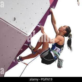 Palembang, Indonesien. 26 Aug, 2018. Akiyo Noguchi aus Japan konkurriert, während Frauen kombinierten endgültig vom Sportklettern Ereignis am 18. Asian Games 2018 in Palembang, Indonesien, 26.08.2018. Credit: Cheng Min/Xinhua/Alamy Leben Nachrichten Quelle: Xinhua/Alamy leben Nachrichten Stockfoto