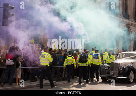 London, Großbritannien. 25. August 2018. Veganer marschieren durch die Straßen von London 2018 Credit: Pablo Diablo/Alamy leben Nachrichten Stockfoto