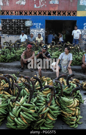 Händler und Käufer auf dem Bananenmarkt in Iquitos, Peru Stockfoto