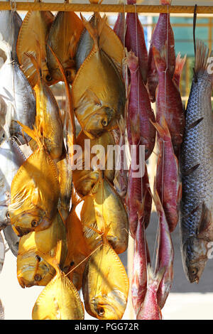 Verschiedene Arten von gesalzenem getrockneten Fisch hängen an Seilen auf einer Straße in den Süden der Ukraine Stockfoto