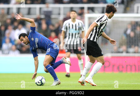 Chelsea's Pedro (links) und Newcastle United Ki Sung-yueng Kampf um den Ball während der Premier League Match im St James' Park, Newcastle. Stockfoto