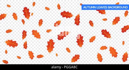 Im Herbst fallenden Blätter auf transparentem Hintergrund. Vektor herbstliches Laub herbst Eichenlaub. Herbst Hintergrund design Stock Vektor