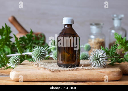 Eine Flasche des glandulären Globus - thistle Tinktur aus frischen blühenden Echinops sphaerocephalus Stockfoto