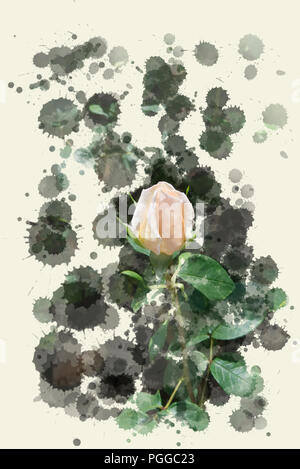 Beige Eröffnung rose bud-blühenden Blumen im Garten, Aquarell Spritzer und Pinselstrich Designrahmen Stockfoto