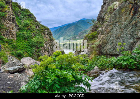 Mountain Creek unter Klippen von Canyon unter Felsbrocken in die Katun Flusses in Altai Gebirge fließt, Russland - schöne Sommer Landschaft. Schönheit von Stockfoto