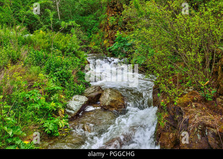 Mountain Creek mit Wasserfällen unter Klippen von Canyon unter Felsbrocken in Altai Gebirge fließt, Russland - schöne Sommer Landschaft. Die Schönheit der wilden n Stockfoto