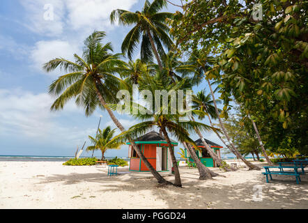 Idyllischen tropischen Strand mit weissem Sand, Palmen und türkisblaues Meer Wasser auf der Insel Barbados in der Karibik Stockfoto