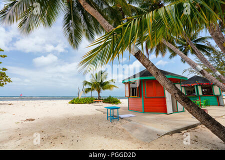 Idyllischen tropischen Strand mit weissem Sand, Palmen und türkisblaues Meer Wasser auf der Insel Barbados in der Karibik Stockfoto