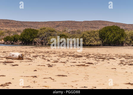 Exmouth, Western Australia - 27. November 2009: Sandbank mit Treibholz und trocken Algen getrennt Yardie Creek vom Indischen Ozean. Braun trockenen Hügeln, gree Stockfoto