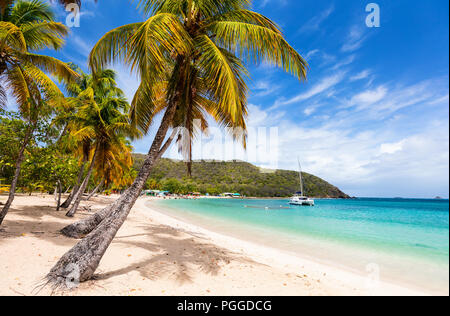 Idyllischen tropischen Strand mit weissem Sand, Palmen und das türkisblaue Karibische Meer Wasser auf mayreau Island in St. Vincent und die Grenadinen Stockfoto