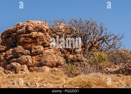 Exmouth, Western Australia - 27. November 2009: Nahaufnahme von Braun rock Heap mit trockenen Bush gegen den blauen Himmel. Gelblich-grünen Unkraut und Gras zwischen Sto Stockfoto