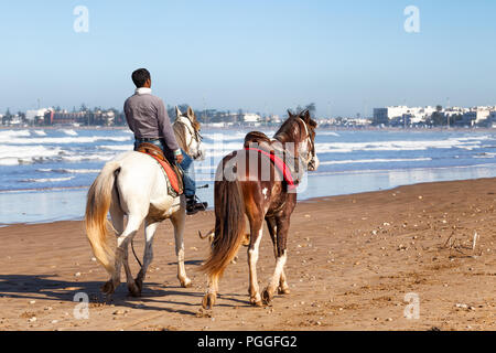 Marokko, Strand von Essaouira. Lokaler Mann auf dem Pferd mit einem zweiten riderless Horse. Stadt im Hintergrund gesehen. Stockfoto