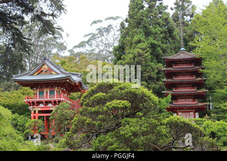 Die Japanischen Tee Garten im Golden Gate Park, San Francisco, CA, USA Stockfoto