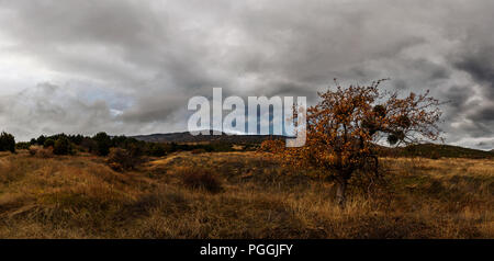 Herbst Landschaft Panorama mit grauen Dramatischer Himmel Stockfoto