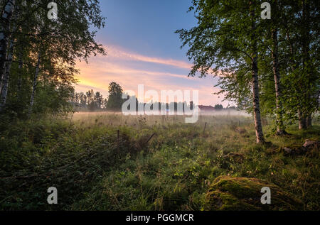 Idyllische Ackerland mit Nebel und Sonnenuntergang im Sommer Abend in Mäntyharju, Finnland Stockfoto