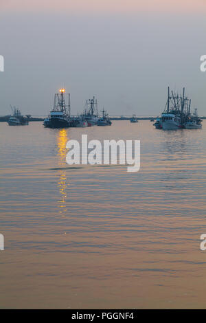 Kommerzielle Fischerboote ihren Fang wieder in den Hafen von sockeye Lachse auf dem Weg von der Mündung des Fraser River in Steveston, British Columbia. Stockfoto