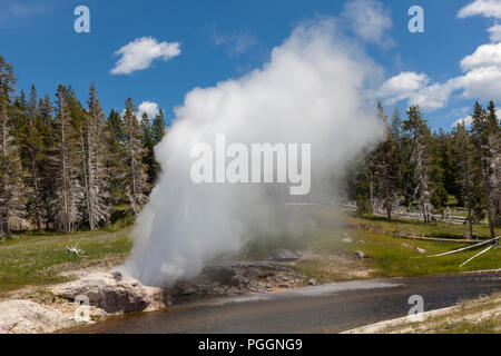 WY 02734-00 ... WYOMING - Riverside Geyser im oberen Geysed Becken des Yellowstone National Park. Stockfoto