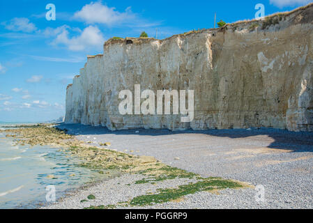 Klippen an der Küste in Criel-sur-Mer in der Normandie, Frankreich Stockfoto