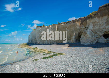 Klippen an der Küste in Criel-sur-Mer in der Normandie, Frankreich Stockfoto