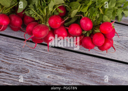 Bündel kleinen Junge frische Radieschen auf weißem Holz- Hintergrund. Freier Platz für Text. Grau Holztisch Hintergrund. Stockfoto