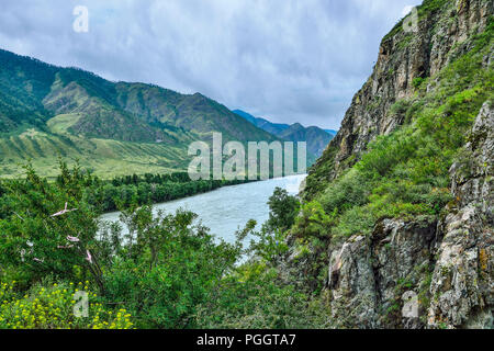 Malerische Sommer Landschaft auf dem felsigen Ufer des schnellen sibirischen Fluss Katun, Klippen mit Moos und Gras bedeckt, Bäume und gelbe Blumen im Vordergrund Stockfoto