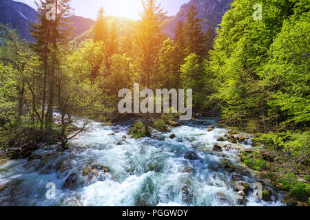 Cold Mountain Stream aus Wasserfall Savica, Fluss Sava in der Nähe von Lake Bohinj, Slowenische Alpen, Slowenien. Der Sava Bohinjka ist ein Oberlauf des Flusses Sava Stockfoto