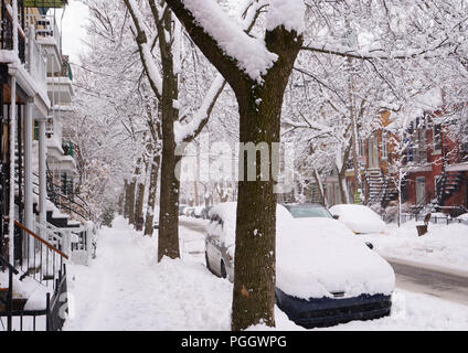 Der erste Schnee hat auf Bäumen in der Nacht gefallen. Die Autos sind auf den Straßen von Schnee bedeckt. Stockfoto