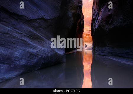 Wanderer auf Paria Canyon Narrows, Paria Canyon-Vermilion Cliffs Wilderness, Utah Stockfoto