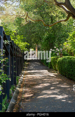 Ein fussgänger Spaziergänge durch dappled Sonne auf dem Cutoff Pfad in Berkeley, CA. Stockfoto