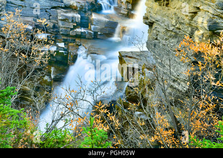Athabasca Falls im Herbst, Jasper Nationalpark, Alberta, Kanada Stockfoto