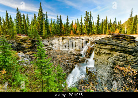 Athabasca Falls im Herbst, Jasper Nationalpark, Alberta, Kanada Stockfoto