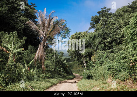 Die malerische Straße nach Semuc Champey in Guatemala Stockfoto